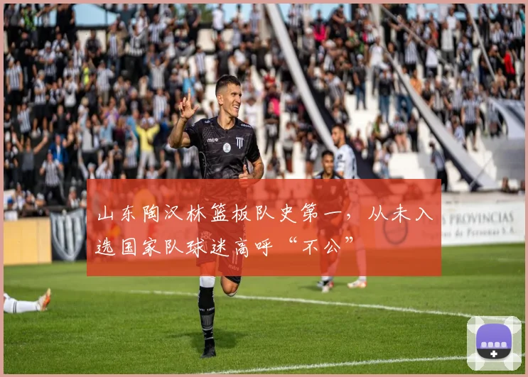 山东陶汉林篮板队史第一,从未入选国家队球迷高呼“不公”